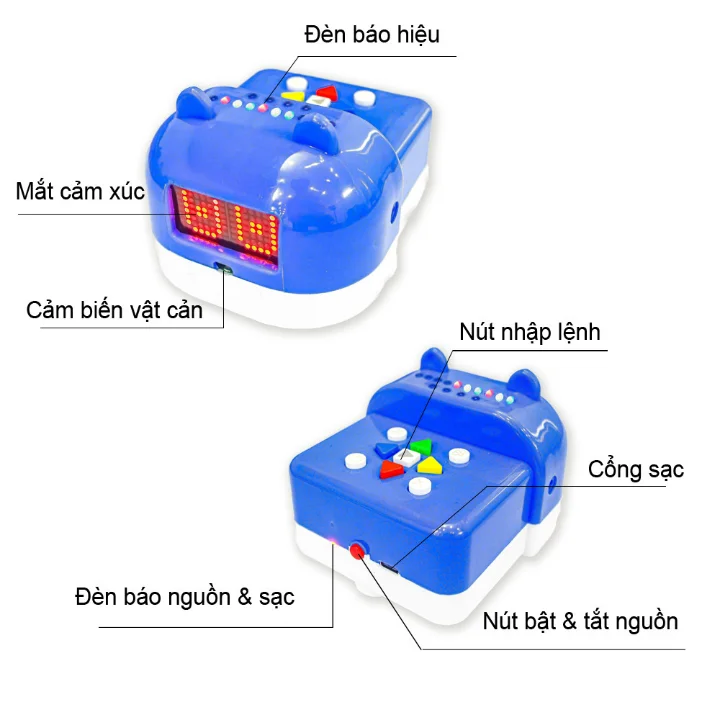 Robot phát triển tư duy Rio — ảnh 4