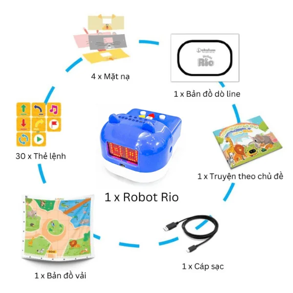 Robot phát triển tư duy Rio — ảnh 8
